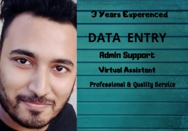I will do data entry,  copy paste and excel data entry work