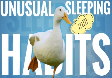 Creates a unique,  beautiful,  non-traditional youtube thumbnail.