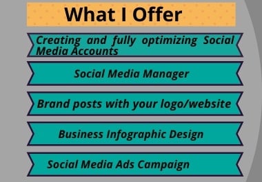 social media manager and social media ads campaign