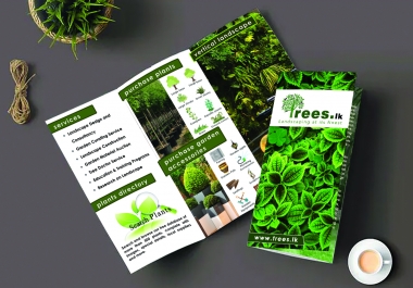 I will design business flyer,  leaflet,  trifold brochure,  postcard