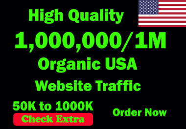 I will Drive 1 Million USA Keyword Targeted/Social Media Traffic To Your Website Within 100 Days.