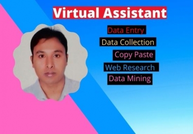 I will do data entry with web research properly