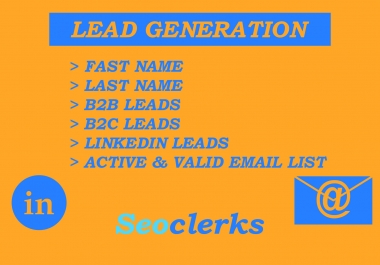 I will deliver professional B2B OR B2C and linkedin lead generation