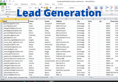 I will provide you B2b Lead Generation with your targeted niche