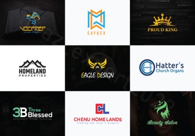 I will design especial extra unique logo for your Company