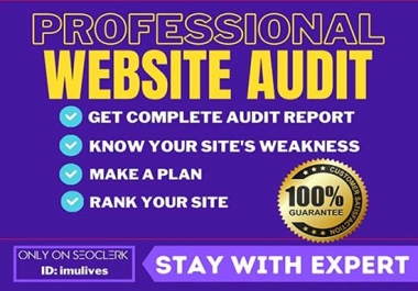 I Will Audit Your Website and Send You the Full Report