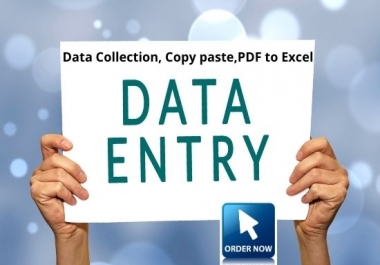 I will do your Data entry,  Copy and paste and web research
