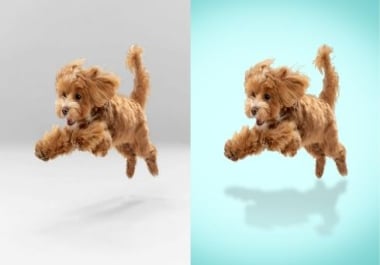 Expert eBay & Amazon Product Photo Editing Background Removal & Retouching