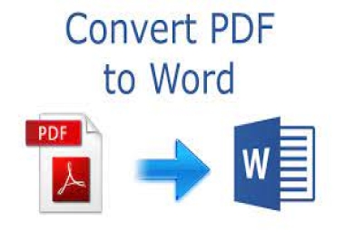 I will convert pdf to word, pdf to excel