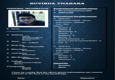 I can make a professional and attractive CV