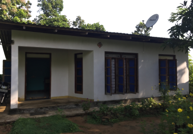 Colorize Photos and images background remover