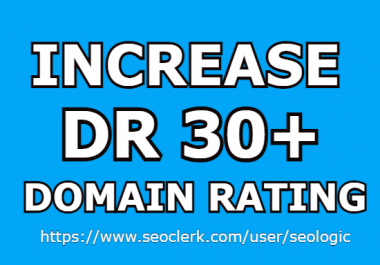 I will increase website domain rating DR upto 30 Plus