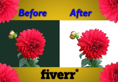 I will do professionally background removal in your images.