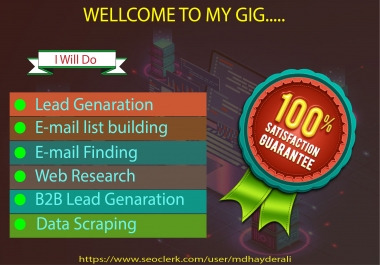 I will do excelent email list building, b2b lead generation and etc