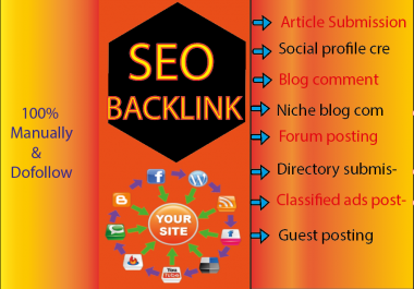 I will do Monthly Seo Package With Daily Reports,  Done Manually