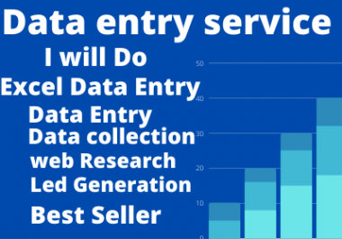 I Will be Perfect Data Entry Works For Your Business