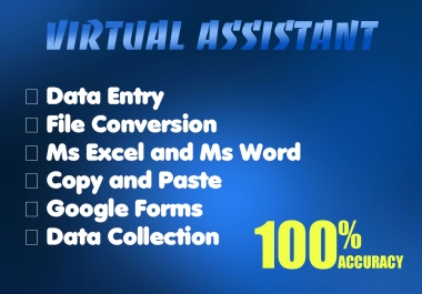 I will do accurate data entry,  copy paste jobs