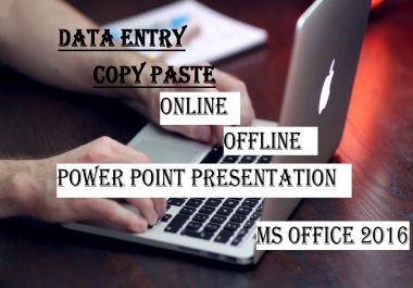 I will do any type of data entry in MS Office. MS word,  MS excel.