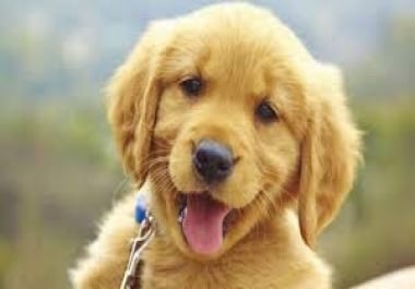 an article consisting of 500 words the article is 100 exclusive