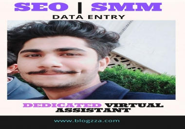 I will be your personal virtual assistant for SEO SMM data entry