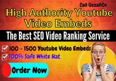I will 500 Embed and,  Promote your Youtube video on Web2 websites with the Best SEO Video Ranking