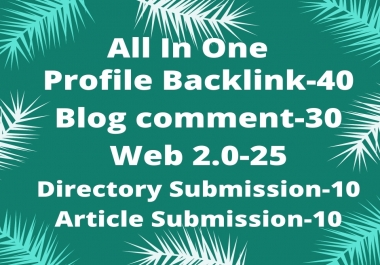 I will do high quality do-follow SEO backlink to rank your website