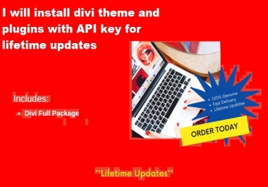 I will install divi theme and plugins with API key for lifetime updates