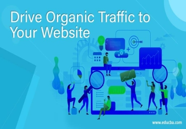 drive real organic traffic from USA