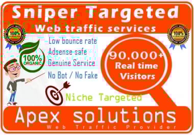 I will drive niche targeted web traffic 30 days for your websites