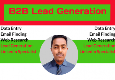 I will do targeted lead generation email list from linkedin and data entry
