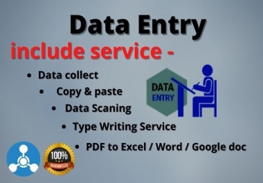 I will do data entry,  data collection,  copy & paste,  typing and excel entry works