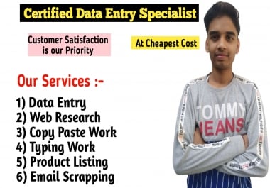 I will be your virtual assistant for Excel,  Data Entry,  Web Research