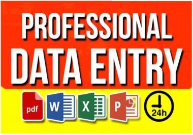 I will do data entry,  copy paste,  and excel data entry within 24 hours