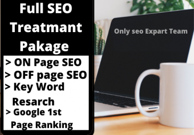 I will Give Full SEO Treatment Package