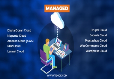 Best Web Hosting Solutions Temok IT Services