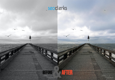 I will change your black and white pictures into colourized pictures