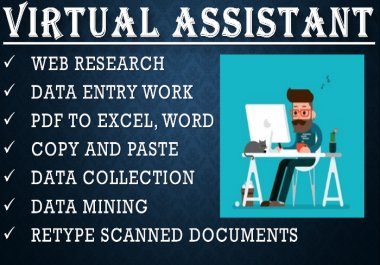 I will do any type of data entry,  copy paste,  web research,  data mining and excel data entry
