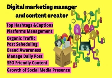 I will be digital marketing manager and content creator for your business