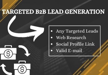 I will provide Targeted B2B Lead Generation and LinkedIn Lead Generation