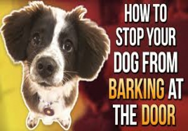 500 words to know how to stop dog from barking in the door