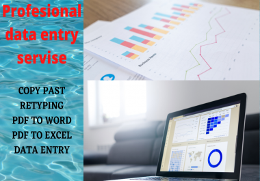 data entry,  copy paste,  excel data entry,  typing work,  virtual assistant