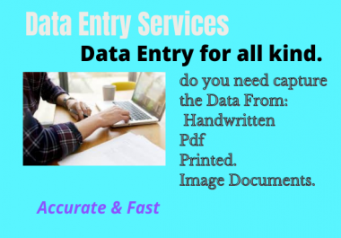 I will do any form of data entry task for you at cheap rate