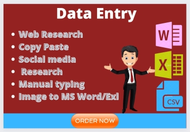 I will do perfect data entry,  web research & copy paste
