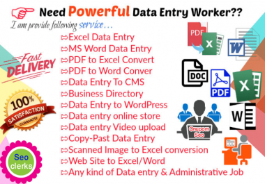 I will do any kind of data entry work for your business
