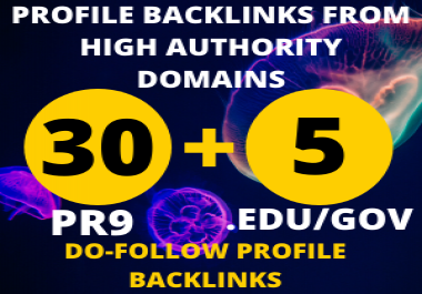 I will Create 30 Pr9 + 5 Edu/Gov Dofollow DA 85+ SEO profile backlinks