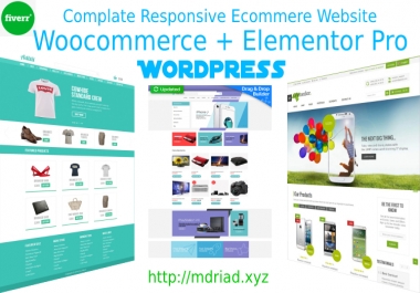 I will create ecommerce website with woocommerce use elementor pro