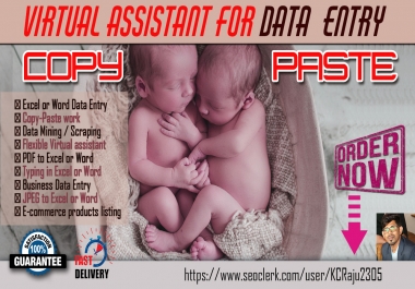 I will provide you Any Types of DATA ENTRY work within 24 hours
