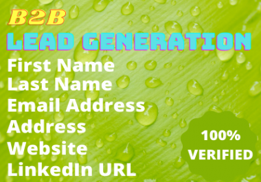 You Will get targeted b2b lead generation LinkedIn lead service 100 verified email