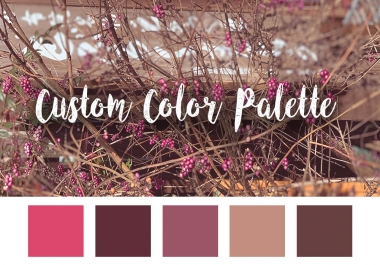 I will create a custom color palette for your brand
