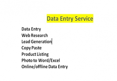 do data entry,  excel data entry,  data mining and copy paste job